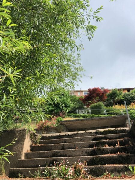 A view from the bottom of a steeply sloping garden looking up towards the house, high in the distance. Stone steps in the foreground, top left of the image obscured by green foliage. A landscaping project by communion architects.